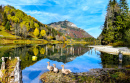 Oies sur un lac de montagne en forêt