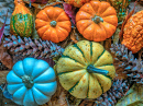 Citrouilles, feuilles et pommes de pin