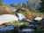 Incroyable ruisseau cascade dans les montagnes