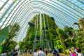 Dôme de la forêt nuageuse dans les jardins de la baie, Singapour