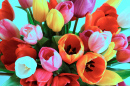 Bouquet de tulipes lumineuses en gros plan