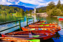 Le magnifique lac de Bohinj en Slovénie