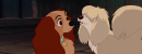 lady-tramp-disneyscreencaps.com-6826 (2)