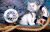 Ragdoll Chaton et Décor Marine