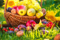 Une corbeille pleine de fruits au coucher du soleil