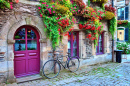 Maison Couverte De Fleurs, France