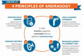 Principles-of-Andragogy-Theory-