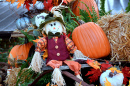 Décorations colorées pour Thanksgiving, États-Unis