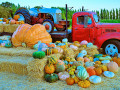 Vieux camion avec des citrouilles et des balles de foin