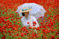 Femme du 19ème siècle dans un champ de coquelicots