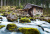 Cascades avec des rochers moussus, Golling, Autriche