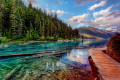 Troncs d’arbres engloutis dans un lac de montagne aux eaux cristallines