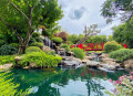 Cascade et pont rouge dans le jardin tropical