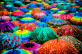 Parapluies colorés