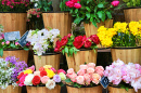 Entrée d’un magasin de fleurs à Paris, France