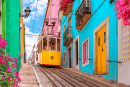 Tramway jaune dans une rue de Lisbonne, Portugal