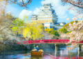 Château de Himeji avec fleurs de cerisier, Osaka, Japon