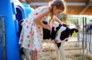 Dans une ferme de vaches un jour d’été