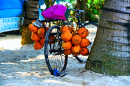 Fruits tropicaux sur une plage tropicale au Sri Lanka