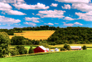 Champs agricoles dans le comté de York, Pennsylvanie