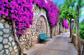 Allée fleurie vibrante à Capri, Italie