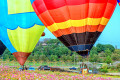Balloon Fiesta, Singha Park, Thaïlande