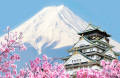 Château d’Osaka et mont Fuji, Japon