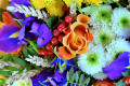 Gros plan de l’arrangement floral coloré