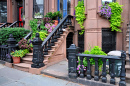 Brownstone avec pots de fleurs à Brooklyn, New York