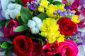 Bouquet coloré
