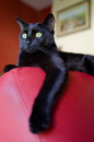DJY03507_DxO_HDfull