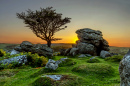 Saddle Tor, Dartmoor, Devon, Angleterre