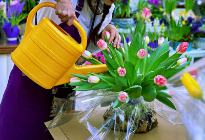 À la boutique de fleurs