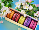 Macarons dans une boîte cadeau