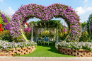 Jardin de fleurs à Dubaï, Émirats arabes unis