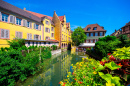 Petite Venise à Colmar, Alsace, France