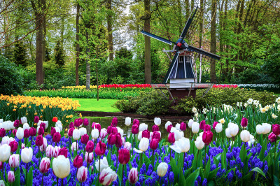 Célèbre jardin de Keukenhof, Pays-Bas