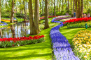 Parc royal de Keukenhof, Lisse, Pays-Bas