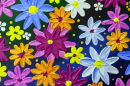 Fleurs acryliques multicolores