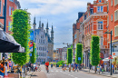Avenue Bondgenoten à Louvain, Belgique