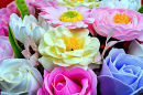 Fleurs de savon