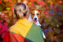 Fille et Jack Russell Terrier dans un parc