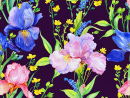 Motif sans couture avec iris sur fond noir