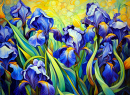 Iris bleu et jaune
