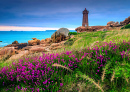 Phare de Mean Ruz, Bretagne, France