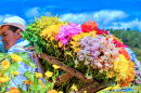 Retour de la Foire aux Fleurs de Medellín, Colombie