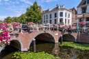 Pont au-dessus d’un canal et maisons à Leiden