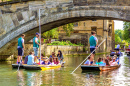 Bateaux de punting sur la rivière Cam, Royaume-Uni