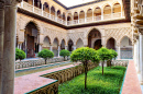 Cour de l’Alcázar royal de Séville, Espagne