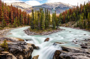 Les chutes Sunwapta dans le parc national Jasper, Alberta, Canada